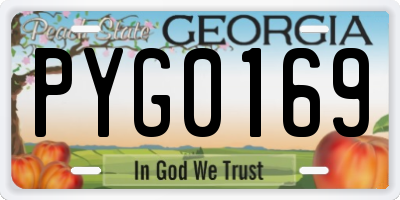 GA license plate PYG0169