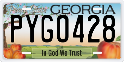GA license plate PYG0428
