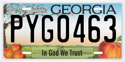 GA license plate PYG0463