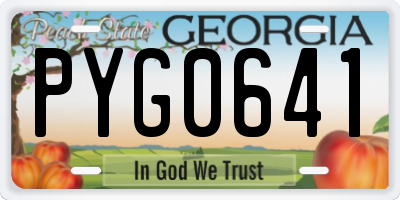 GA license plate PYG0641