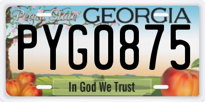 GA license plate PYG0875
