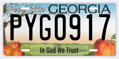 GA license plate PYG0917