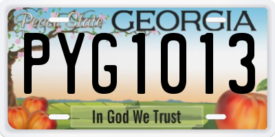 GA license plate PYG1013