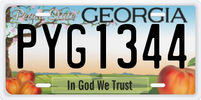 GA license plate PYG1344