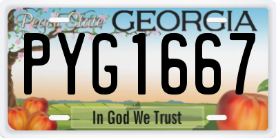 GA license plate PYG1667