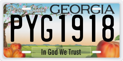 GA license plate PYG1918