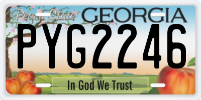 GA license plate PYG2246