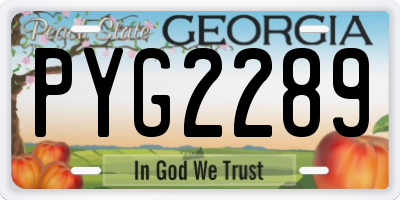 GA license plate PYG2289