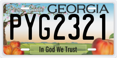 GA license plate PYG2321