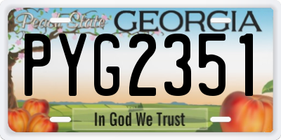 GA license plate PYG2351