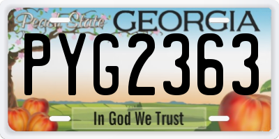 GA license plate PYG2363