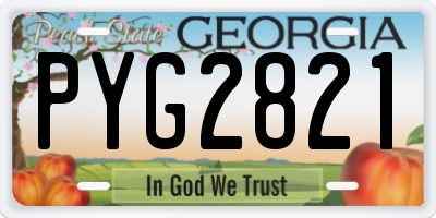 GA license plate PYG2821