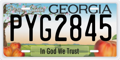 GA license plate PYG2845