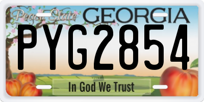 GA license plate PYG2854