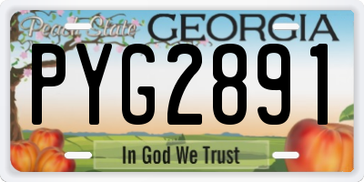 GA license plate PYG2891