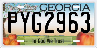 GA license plate PYG2963