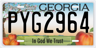 GA license plate PYG2964