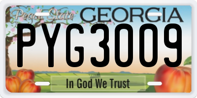 GA license plate PYG3009