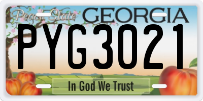 GA license plate PYG3021