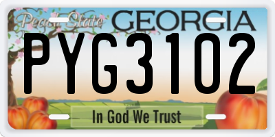 GA license plate PYG3102