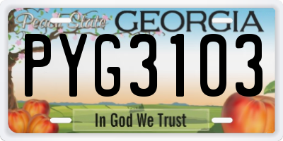 GA license plate PYG3103