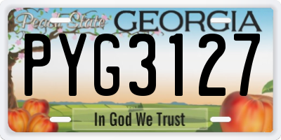 GA license plate PYG3127