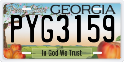 GA license plate PYG3159