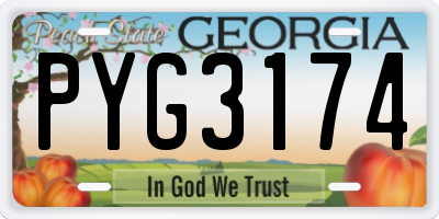 GA license plate PYG3174