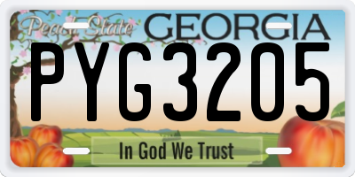 GA license plate PYG3205