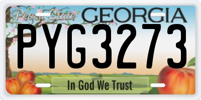 GA license plate PYG3273