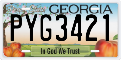 GA license plate PYG3421