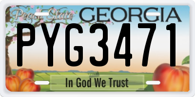 GA license plate PYG3471