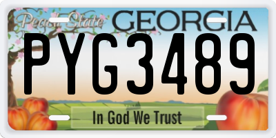GA license plate PYG3489