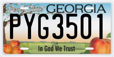 GA license plate PYG3501