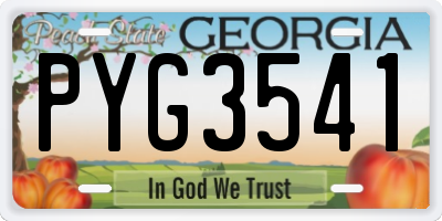 GA license plate PYG3541
