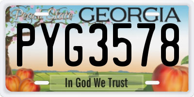 GA license plate PYG3578