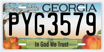 GA license plate PYG3579
