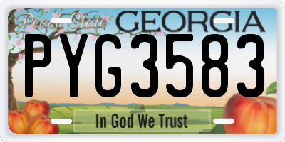 GA license plate PYG3583