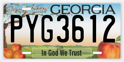 GA license plate PYG3612