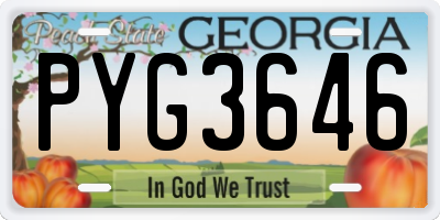 GA license plate PYG3646