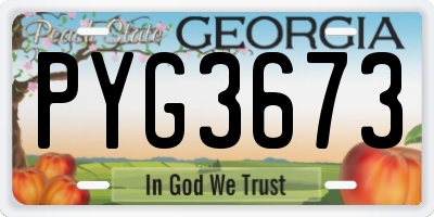 GA license plate PYG3673