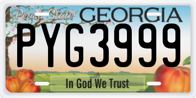 GA license plate PYG3999