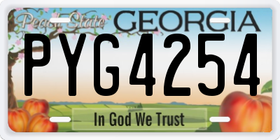 GA license plate PYG4254