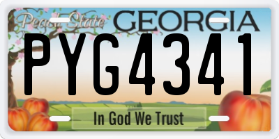 GA license plate PYG4341