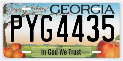 GA license plate PYG4435