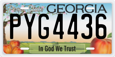 GA license plate PYG4436