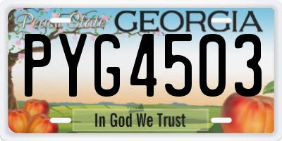 GA license plate PYG4503