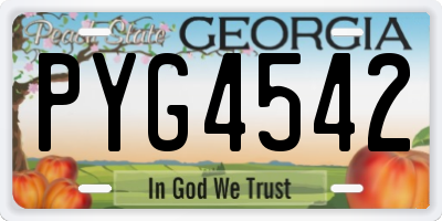 GA license plate PYG4542