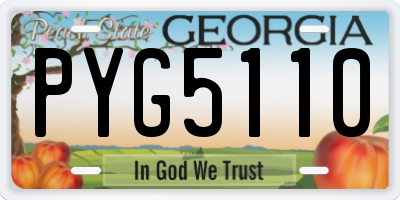 GA license plate PYG5110