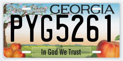 GA license plate PYG5261
